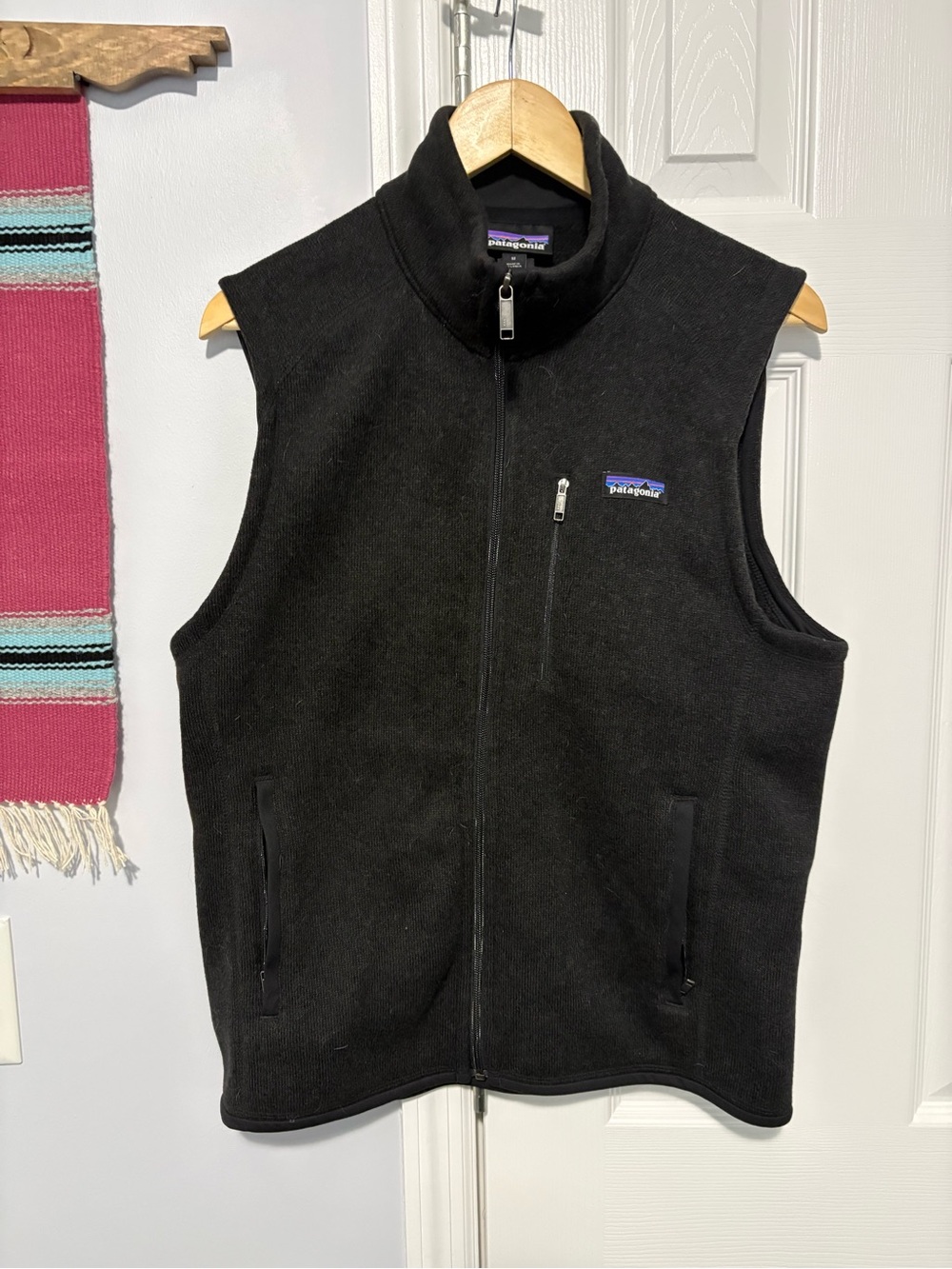 Patagonia Better Sweater fleece vest